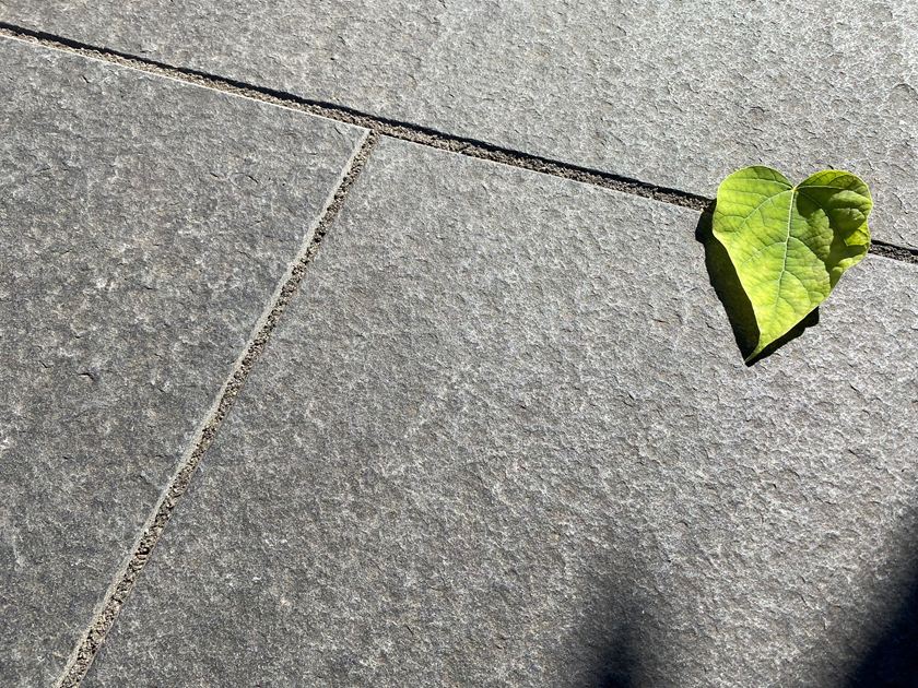 Płyta tarasowa Basalt Takeda widziana z góry z dekoracją w kształcie liści