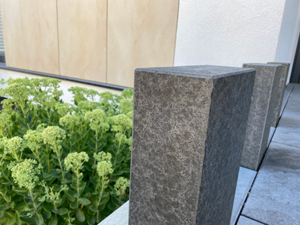 Palisade 8x25 Basalt Takeda – strefa wejściowa 2 – wersja ostateczna