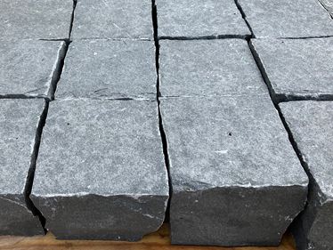 Plasterstein_Takeda_z bliska