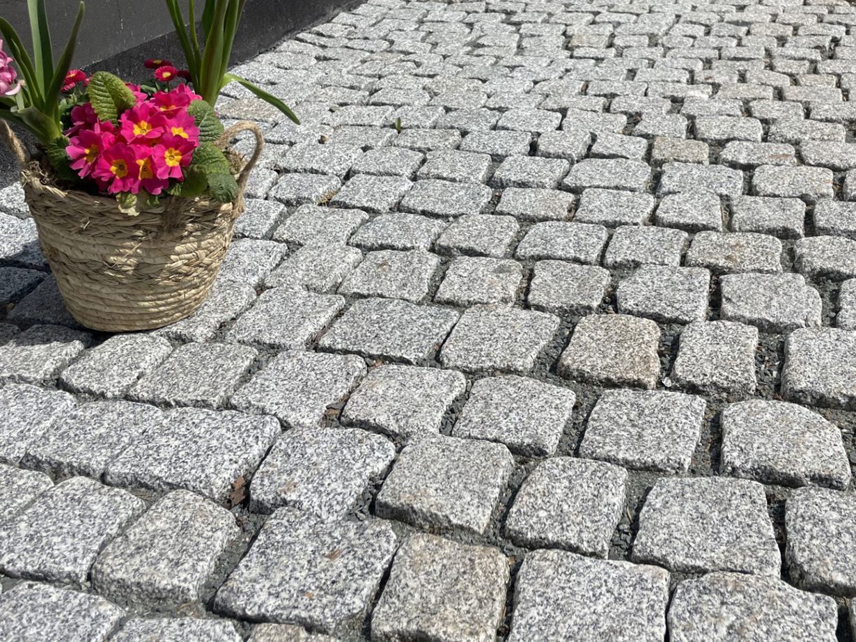 Kostka brukowa Granit Silver Rustice – podjazd – w pobliżu kwiatów