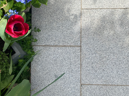Granit-Srebro-Gala-Kwiaty-Tulipan-Słońce1