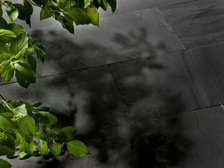 Płytki łupkowe Black Rustic i naturalne gałązki