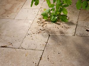 Płyty z trawertynu Rustic, bębnowane, z góry w kadr wkracza zielona gałązka
