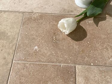 Tulipan z trawertynu (średni)