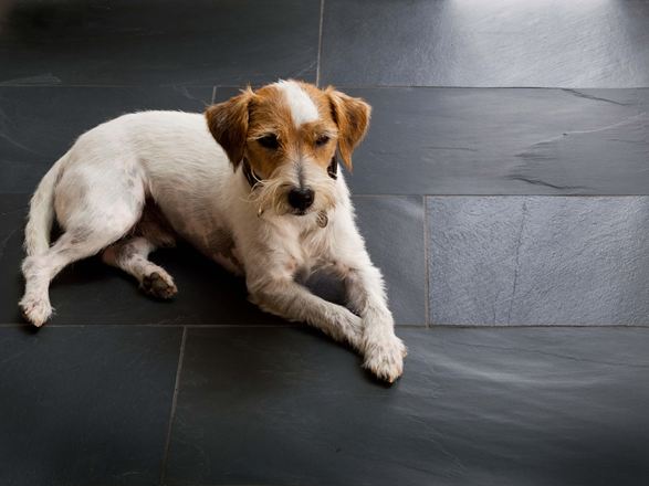 Płytki łupkowe Black Rustic: idealne do stworzenia przytulnej atmosfery