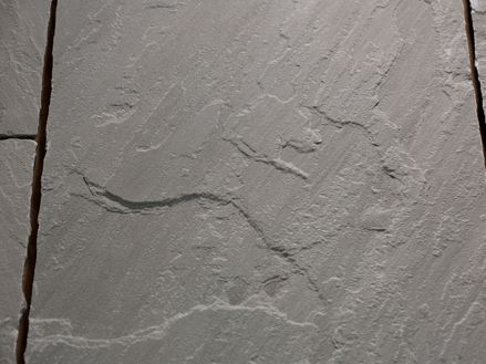 Zbliżenie na płytę z piaskowca Kandla Grey o naturalnie aksamitnej, szczotkowanej powierzchni