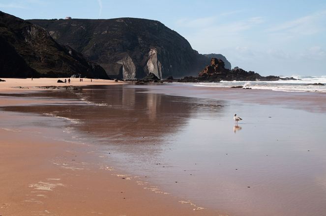 Nadają nazwę wyjątkowemu kamieniowi naturalnemu: łupkowe skały na plaży w Portugalii